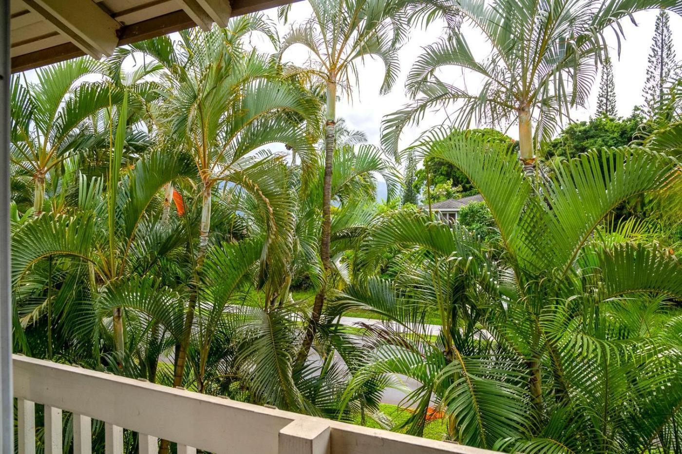 Paniolo 204B Apartment พรินซ์วิลล์ ภายนอก รูปภาพ